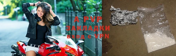 прущие грибы Абаза