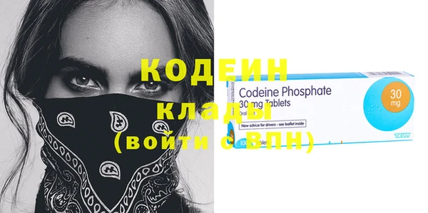 прущие грибы Абаза