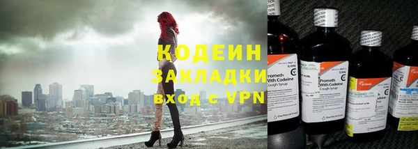 прущие грибы Абаза
