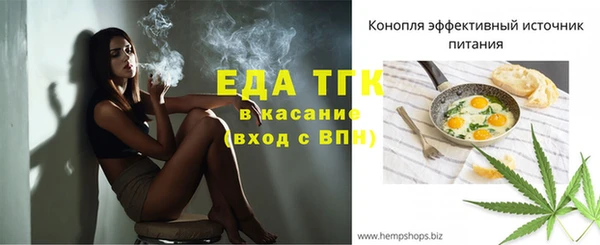 прущие грибы Абаза