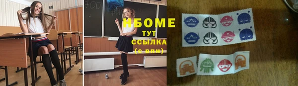 прущие грибы Абаза