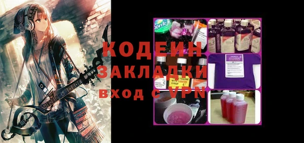 прущие грибы Абаза