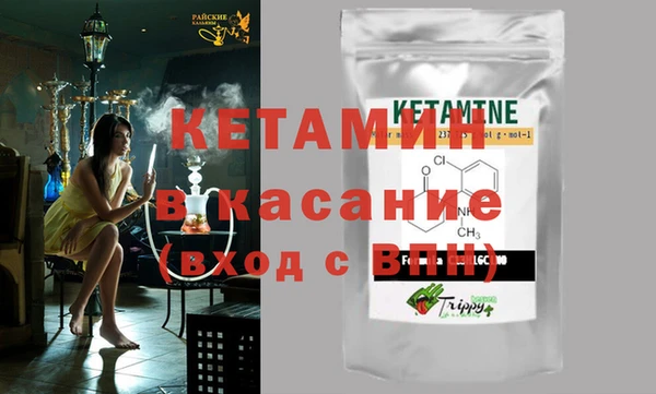 прущие грибы Абаза