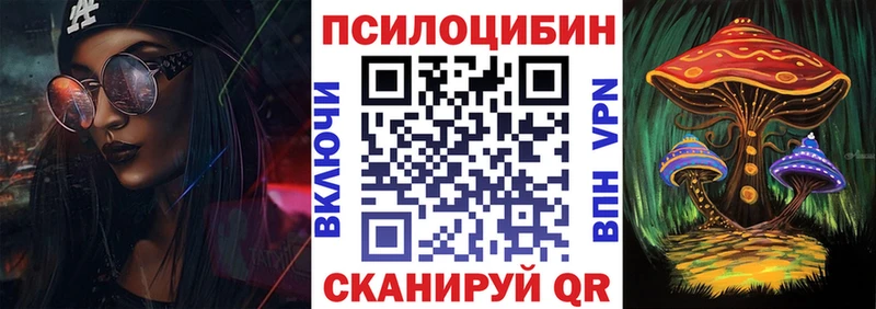 Псилоцибиновые грибы Psilocybe  Тутаев 